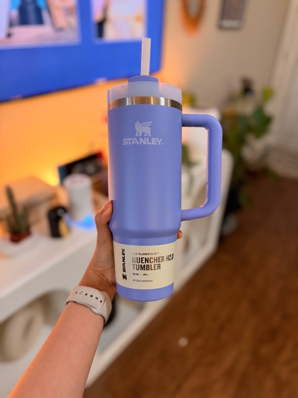 Stanley Quencher H2.0 Tumbler 30 oz- Hydrangea